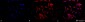 HSP90 Antibody